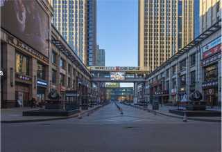 杨浦区一站式猫咪定制选购平台